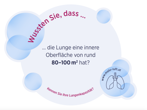Spiegel Wobbler
