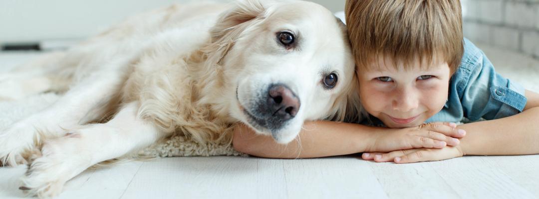 Ein Plädoyer für den Familienhund Mehr Luft