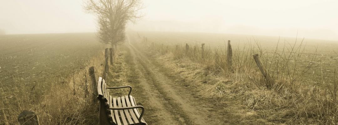 Herbst Nebel Asthma Spazieren