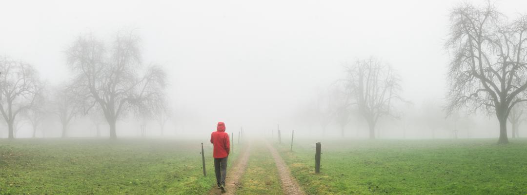 Nebel