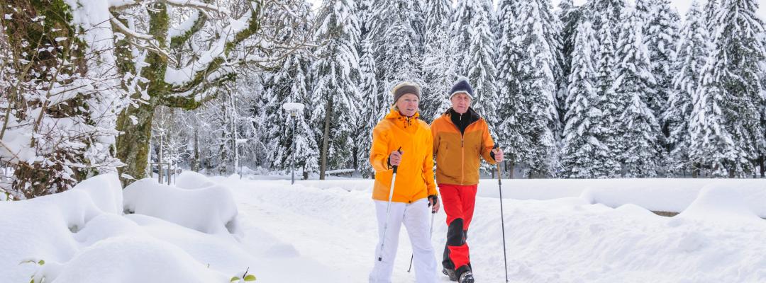 Winter Walking