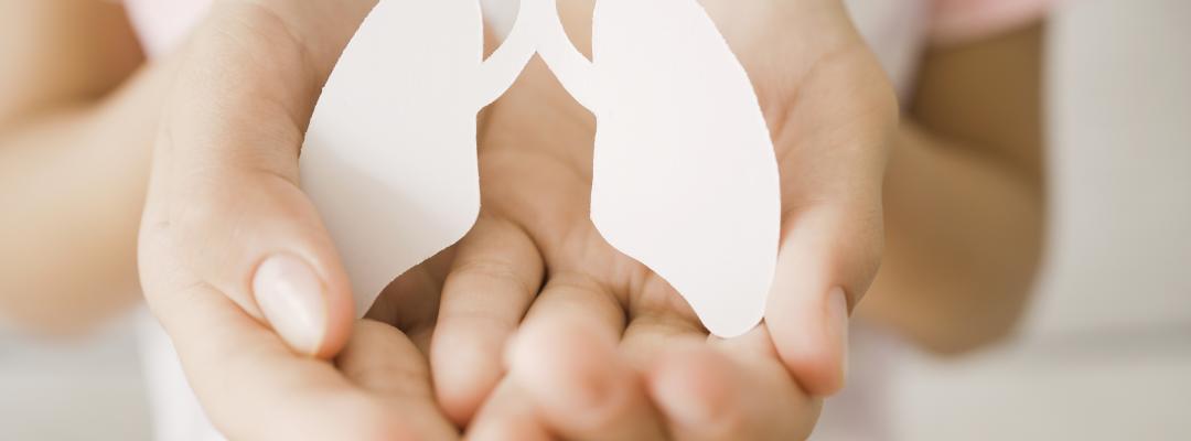 Hand hält eine Lunge aus Papier