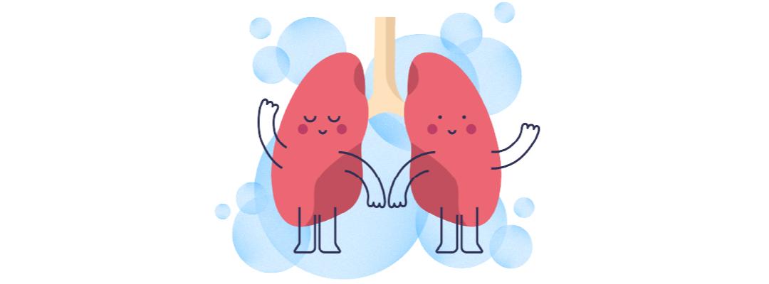 lungen-illustration