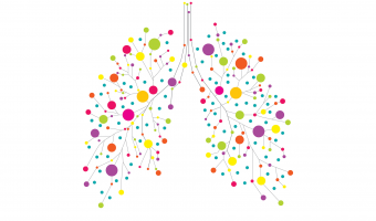 Lunge Gedächtnis Studie