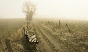 Herbst Nebel Asthma Spazieren