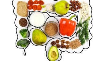 Gesunder Darm, Ernährung