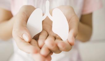 Hand hält eine Lunge aus Papier