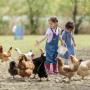Sauberkeit Bauernhof Kinder